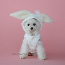 4191 BH Пальто без рукавов (БЕЛОЕ) "Bunny Padding WHITE"