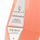 SHANDRO500 ISB The Best line Andromeda           550 