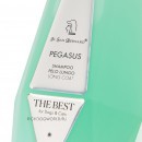 SHAPEG500 ISB The Best line Pegasus        550 