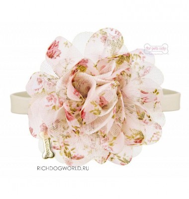 PE2018-CO14   "For Pets Only - Romantic Rose Collar Beige" ()
