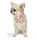 PE2018-CO14   "For Pets Only - Romantic Rose Collar Beige" ()