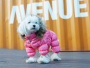 446 PA-OW Комбинезон на гладкой подкладке для собак-девочек, розовый #502 "PA Overall" (ПОСТУПИЛИ!)