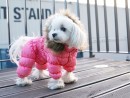 446 PA-OW Комбинезон на гладкой подкладке для собак-девочек, ярко-розовый #510 "PA Overall" (ПОСТУПИЛИ!)